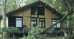 Manchan Wildlife Resort