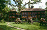 Tiger Top Jungle Lodge