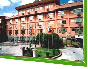 Woodlands- Dynasty Plaza