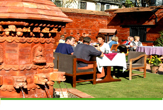Garden in International Guest House
