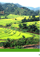 Gorkha Tour, Tour in Gorkha, Visit in Gorkha