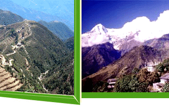 Helambu Tour, Tour in Helambu