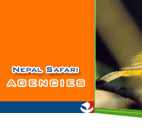 Nepal Jungle Safari Agency, Jungle Safari Agencies in Nepal, Jungle Safari In Nepal, Nepal Jungle safari, Nepal jungle safari company, Royal Chitwan National Park, Elephant Safari, Jungle in Nepal, wild life camp, wild life camp in Nepal, wild life safari, Nepal Wildlife Tour, Tour in Bardia National Park