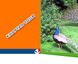 Khaptad Wildlife Reserve