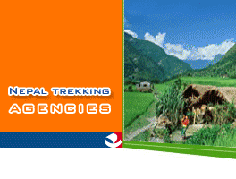 Nepal Trekking