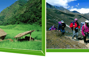 Nepal Trekking