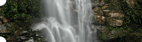 Rimbi Fall in Sikkim